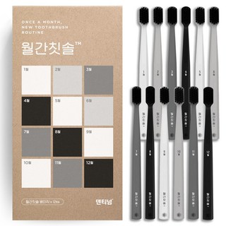 덴티넘 월간칫솔 베이직, 12개입, 1개