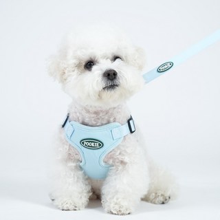 푸키 강아지 시그니처 파스텔 원터치 하네스 + 리드줄세트, 파스텔블루