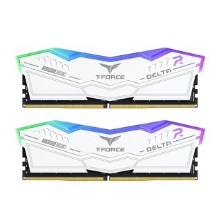 T-FORCE DELTA RGB DDR5 記憶體 炫彩RGB燈效 高速穩定 遊戲電腦首選, 1套, CL30 白