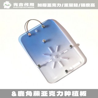 鹿角蕨植物板：蕨類上板神器，透氣塑膠植物板，適用女王鹿角蕨、石斛蘭花，彩色壓克力植床板, 1個, 贈送螺絲與綁線