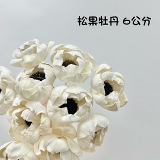 高品質索拉松果牡丹擴香花，6公分/8公分單支，乾燥花永生花，居家香氛擺飾，提升生活品味。, 白色,6公分, 1個