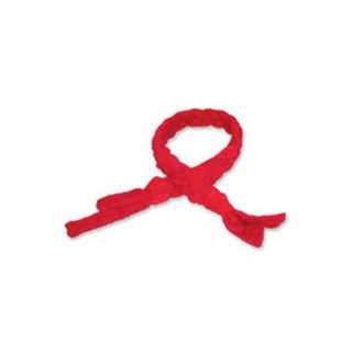 [발란스드바디]플레처 타월 필라테스 보조도구 자세교정 어깨균형 스트레칭용 Fletcher Towel, 1개