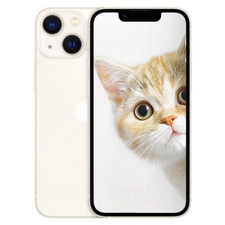 i/폰13 미개봉 새제품, 256GB, 아이폰 13 White