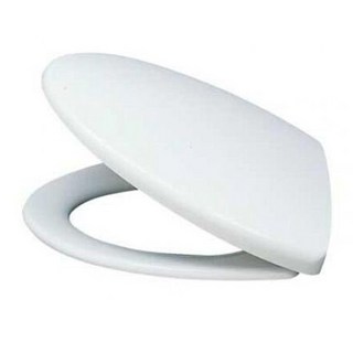 凱撒 Caesar 原廠緩降抗菌馬桶蓋 M232 M233 M235 適用多種型號, 純白