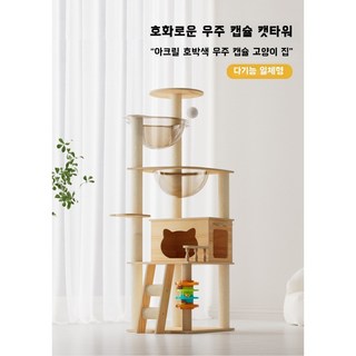 캣타워 고양이 집 고양이 스크래쳐 고양이 장난감 우주 캡슐, 1개, 그림색