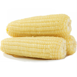 [한정물량특가]특사이즈 수확급냉 쫀득쫀득 강원도 찰옥수수, 1박스, 10개