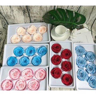 單朵永生玫瑰/永生玫瑰花/香風玫瑰花/不凋花玫瑰/不凋玫瑰花/婚禮玫瑰/玫瑰花頭/永生花/永生花藝材料, (5-6cm)黃玫黑邊,價錢為1朵的價格, 黃玫黑邊