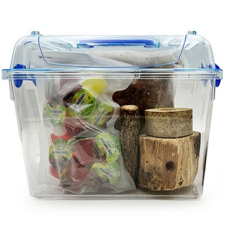 포시즌 사슴벌레 클린 사육세트, 1세트, 01.대형