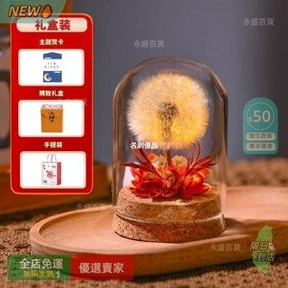 A15 永生乾花標本 創意桌面擺件 永生花玻璃罩 情人節生日禮物, 夜燈款-漸變金紅-蒲公英,簡裝【無禮盒賀卡手提袋】