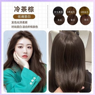 學生染髮 植物配方 2024流行髮色 免漂 顯白, 冷茶棕色（泡泡染),330ml, 1個