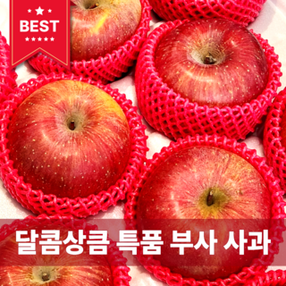 [다정한과일] 특품 부사 사과 (새벽경매/산지배송), 1박스, (가정용 A급) 10kg