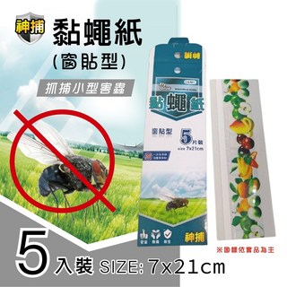 小閨祕 黏蠅紙 全館低消不含運需滿99元 除蟲 蒼蠅紙, 1個, 窗貼型