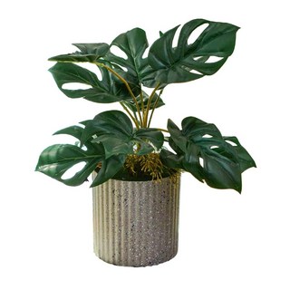 大好屋 仿真龜背葉盆栽組：竹芋、旅人蕉熱帶仿真植物，灰色條紋盆器，輕鬆打造居家綠意, 灰色, 1件