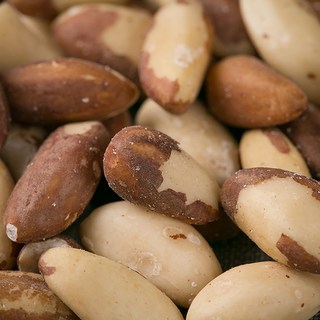 한가람건강원 수입산 브라질너트 대용량 효능 600g, 1개