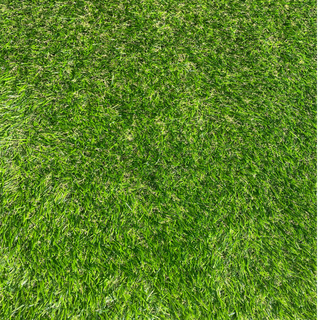 2cm草高特密室外款秋草人工草皮