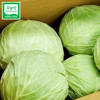 [울팜] 아삭 달달 국내산 친환경 양배추 제주 무안 밀양, 3kg, 1박스
