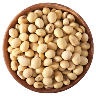 大台南五穀糧倉 加拿大非基因改造黃豆 600g (1斤) - DG黃豆 豆漿 黃豆粉, 1個