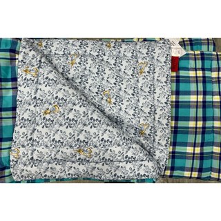 PR 彼得兔石墨烯冬季被子/毯被/冬被/保暖棉毯（可水洗）, 24（150*195）