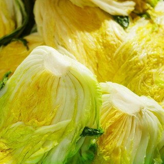 [신선도감] 땅끝 해남 절임배추 20KG 해풍맞은 90일 배추 산지직송 [예약판매], ((배추 수령희망일을 꼭 기재해주세요)), 1박스