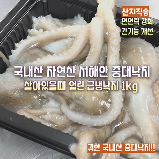 [산지직송] 100% 국내산 자연산 서해안 살아있을때 급냉 최고급 중대낙지 선물용 가정용, 1박스, 서해안 살아있을때 급냉 최고급 중대 낙지