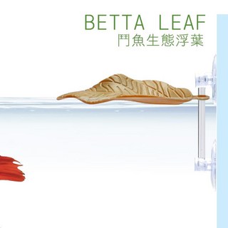 帥哥水族【ISTA 伊士達】鬥魚生態浮葉（綠/棕色）一入 鬥魚 鬥魚休息 鬥魚缸 生態 葉, 棕色, 1個