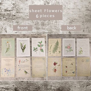 台灣出貨 黑色系玫瑰 尤加利葉 枯萎仿真玫瑰花 假花 攝影寫真道具 室內裝飾花 旅拍 極簡風, 卡片-花朵（13x18cm）, 1個