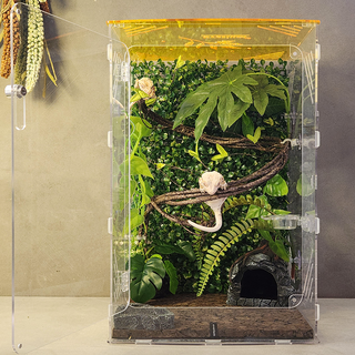 에버리움 크레스티드 게코 도마뱀 아크릴 사육장 세트 - 대형 30x30x45cm, 1세트, 썬옐로우