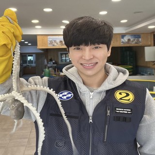 최상급 목포 뻘낙지 살아서 도착, 중소사이즈 1마리, 1개, 50~80g