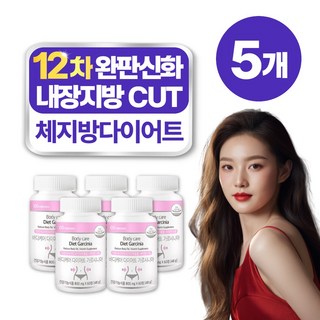 중년 남자 내장 지방 체지방 빼는 도움 다이어트 녹차추출물 약 오개월분, 60정, 5개