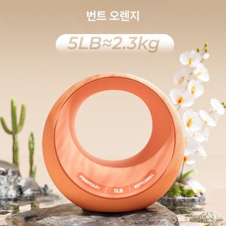 프리미엄 케틀벨 피트니스 홈트레이닝 스윙 덤벨 허리 엉덩이 운동, 오렌지색10LB 4.5kg, 1개