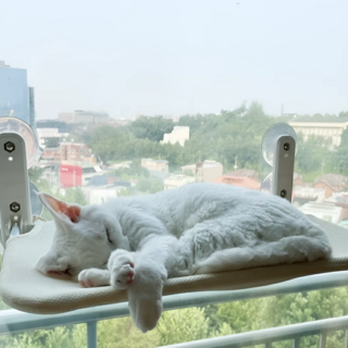 콩냥팥냥 완제품 대형 사이즈 고양이 창문 해먹 접이식 해먹 흡착해먹, 1개, 아이보리