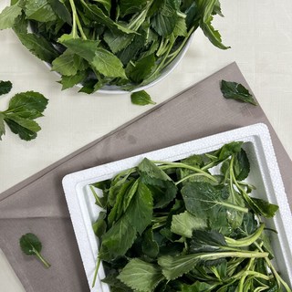 국내산 생 취나물 신선한 봄나물 제주취, (생)취나물 1kg, 1kg, 1개