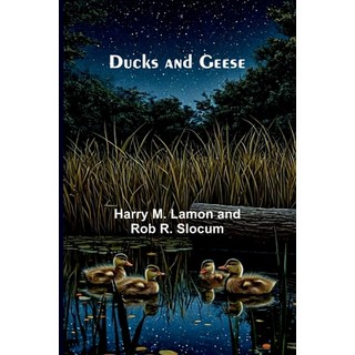 (英文圖書)Ducks and Geese 平裝版, Alpha Edition, 英文