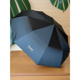 華碩PROART 自動摺疊雨傘 - 全新未拆封正品，快速出貨