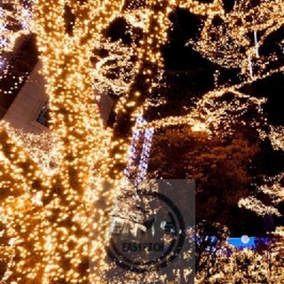 포근한잡화점 전기세ZERO 50구 블랙선 웜색 LED방수줄전구 5m 크리스마스전구건전지형 크리스마스줄조명