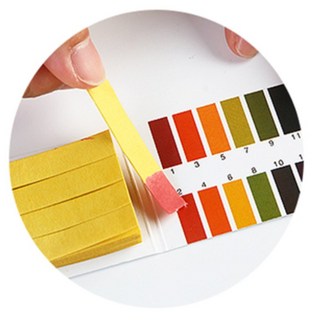 드리네몰 산도측정 리트머스 종이, 1개