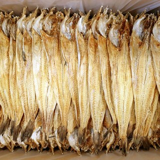 [하늘덕장/대용량/업소용] 용대리황태포 100마리 - 국내건조, 특(41-43cm), 1박스, 6.6kg