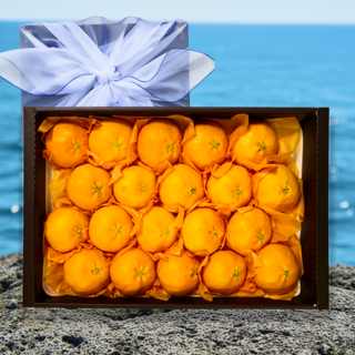 [마지막할인] 딱50박스만 천상의맛 레드향 설선물세트, 1개, 2kg