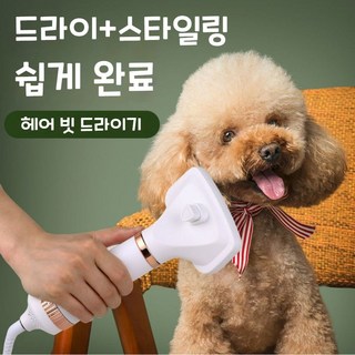 반려동물 에어 브러쉬 헤어 빗 드라이기 온도조절 3단계 빗 드라이어, 화이트