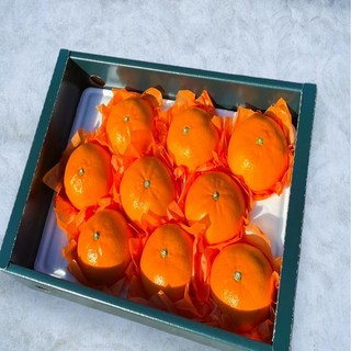 [재구매1위] 산지직송 프리미엄 고당도 제주 천혜향 중대과 가정용 선물용, 1박스, 선물용5kg