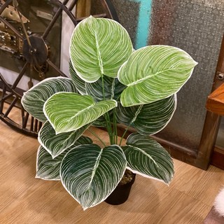 GXS拍照道具 龜背葉仿真植物假盆栽，室內裝飾綠植，免澆水仿真龜背芋盆栽, 12葉綠色白錦花燭-高約60cm, 1個