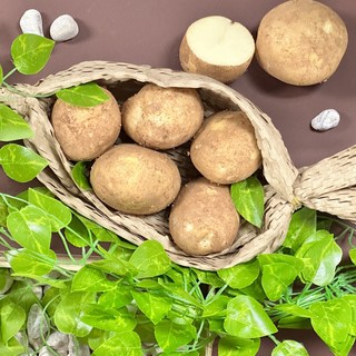 산지직송 고품질 국내산 포슬포슬 쫀득쫀득 달짝찌근 두백 .조풍 수미 햇감자, 1박스, 햇감자 대5kg(70~100g)