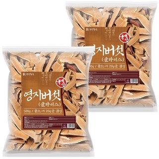 건강중심 국산 영지버섯 슬라이스, 2개, 500g