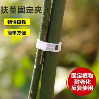 扶蔓固定夾 綁蔓夾 固定卡扣 綠植夾 藤蔓植物固定器 秧苗定型, 1個, 藤蔓植物通用夾【省時省力】,黑科技：重復使用+抗腐蝕【5個】
