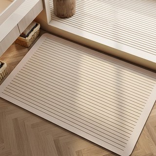 디심플 빨아쓰는 규조토 욕실 발매트, 1개