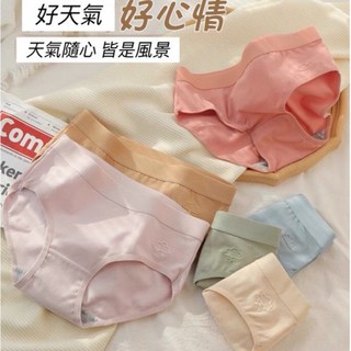 純棉內褲女 純色簡約風 抗菌中腰舒適款, 深膚,L（40～50kg）