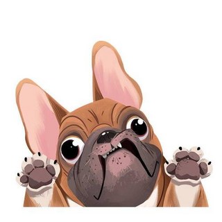 鬥牛犬造型反光貼紙 搞笑創意汽車後窗裝飾貼花 防水車身貼紙, C款棕色22*16cm, 1個