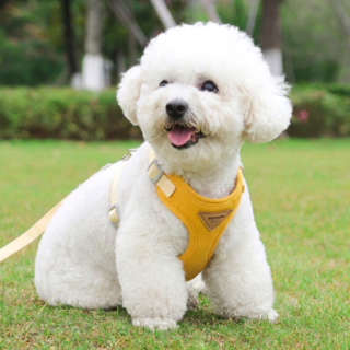 공온 부드럽고 편안한 폭신 메쉬 강아지 하네스 + 리드줄 세트, 1세트, 옐로우