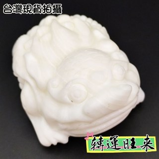 深海貝殼硨磲蟾蜍擺件 - 轉運旺旺來 開運招財 淨化 天然招人緣桃花, 97x46x69 mm，500g