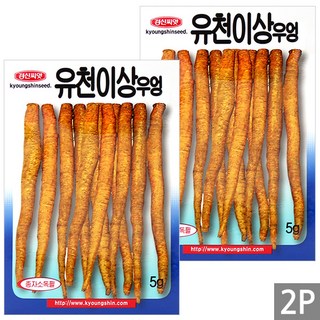 세인화분 유천이상 우엉 5g - 씨 씨앗 뿌리 우엉씨 우엉씨앗, 2개